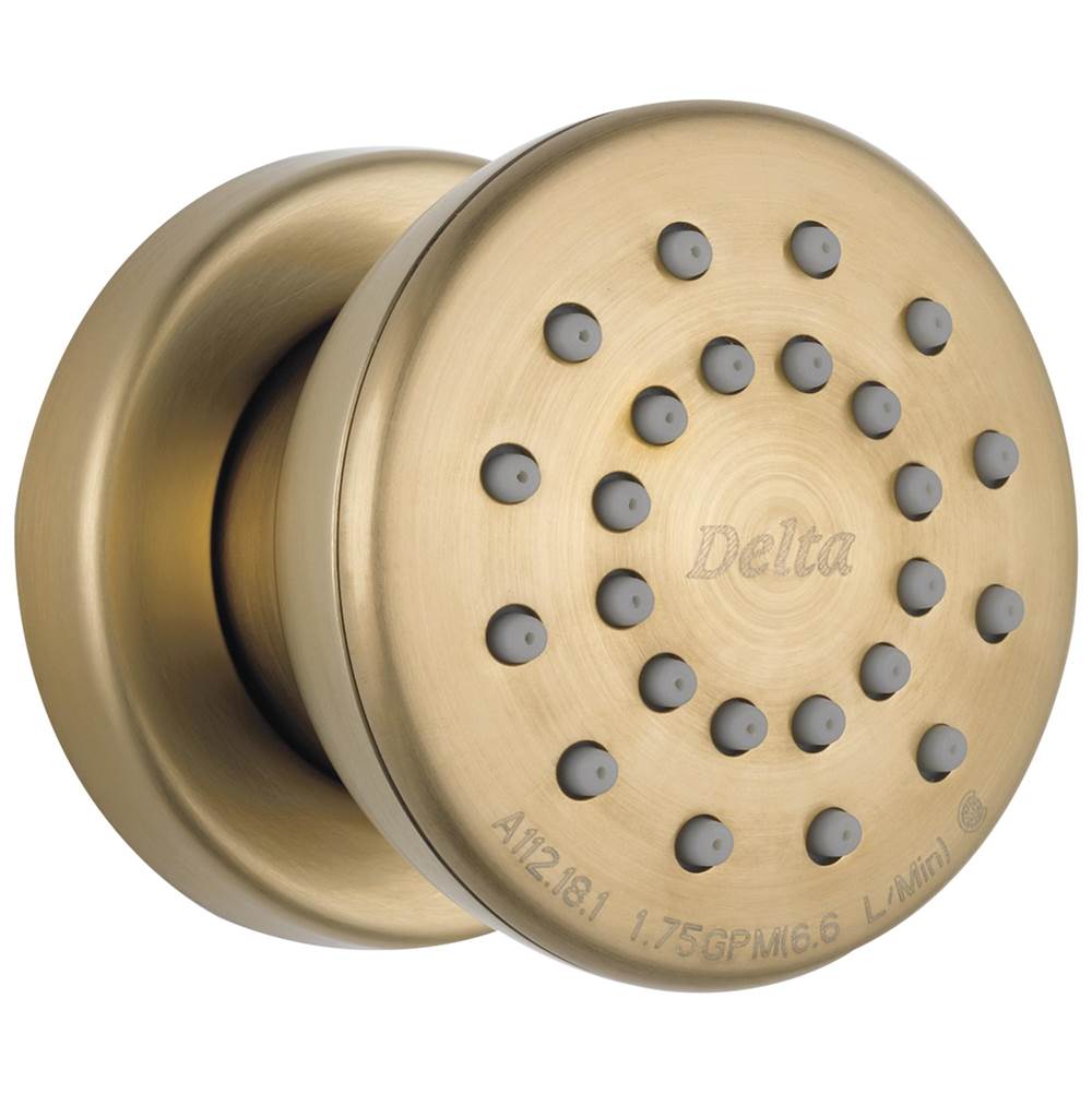 Delta Faucet Other Surface Mount Body Spray