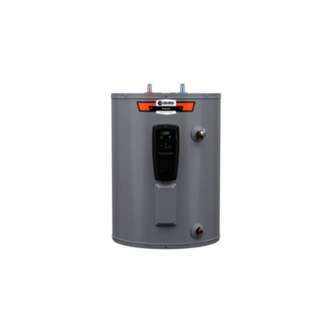 State Water Heaters 48gal Low EL 4.5kW 2x 4.5/4.5-CU/INC 240V-1ph 60Hz Mag-1 TT&